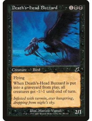 Busardo Cabeça-da-Morte / Death's-Head Buzzard
