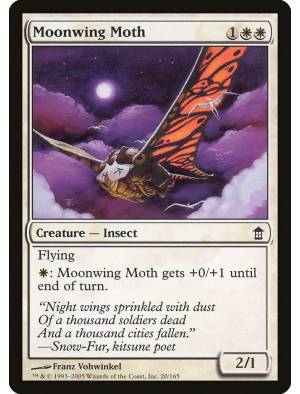 Mariposa Asa de Lua / Moonwing Moth