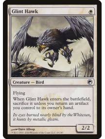 Falcão Cintilante / Glint Hawk