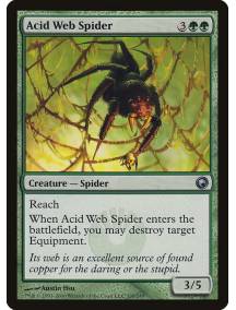 Aranha da Teia Ácida / Acid Web Spider