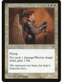 Warrior Angel / Anjo Guerreiro