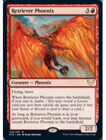Fênix de Busca / Retriever Phoenix