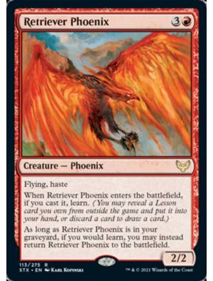 Fênix de Busca / Retriever Phoenix
