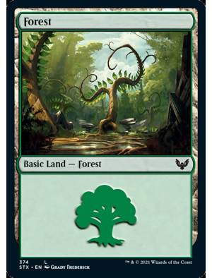Floresta (#374) / Forest (#374)