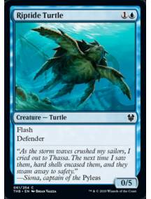 Tartaruga da Rebentação / Riptide Turtle
