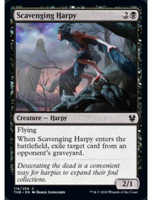 Harpia Necrófaga / Scavenging Harpy