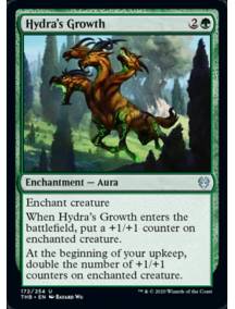 Crescimento da Hidra / Hydra's Growth