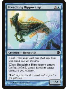 Hipocampo Saltador / Breaching Hippocamp