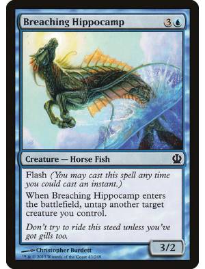Hipocampo Saltador / Breaching Hippocamp