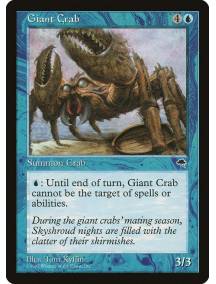 Caranguejo Gigante / Giant Crab