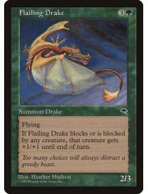 Dragonete Mangual / Flailing Drake