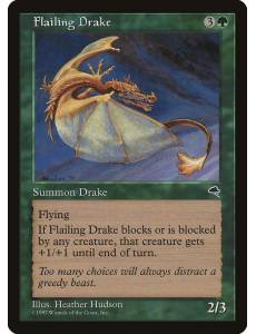 Dragonete Mangual / Flailing Drake