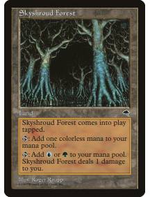 Floresta de Skyshroud / Skyshroud Forest