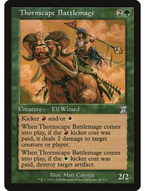 Mago de Batalha de Thornscape / Thornscape Battlemage
