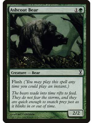 Urso Capa-Cinzenta / Ashcoat Bear