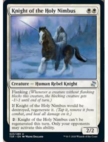 Cavaleiro do Nimbo Sagrado / Knight of the Holy Nimbus