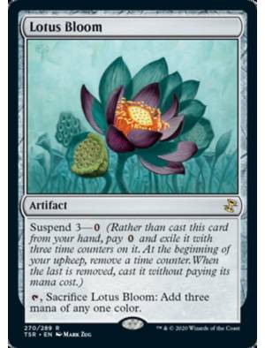 Desabrochar do Lótus / Lotus Bloom