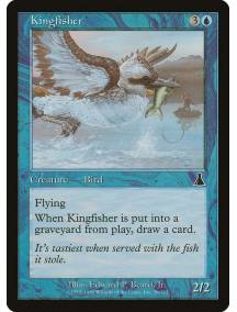 Kingfisher / Martim Pescador