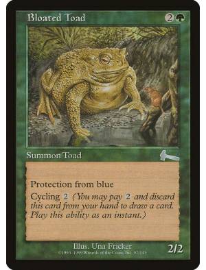 Bloated Toad / Sapo Inchado