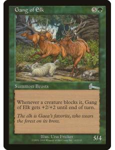 Gang of Elk / Manada de Alces