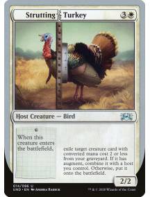 Strutting Turkey