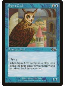 Spire Owl / Coruja da Torre