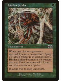 Hidden Spider / Aranha Escondida