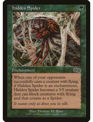 Hidden Spider / Aranha Escondida