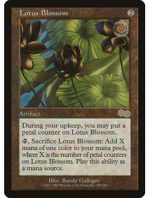 Lotus Blossom / Flor de Lótus
