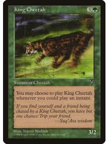 King Cheetah / Guepardo Rei