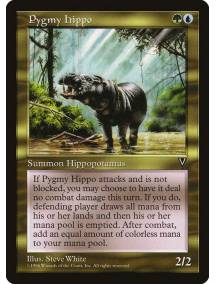 Pygmy Hippo / Hipopótamo Pigmeu