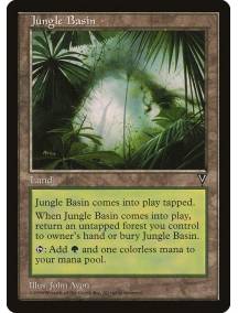 Jungle Basin / Bacia Selvática