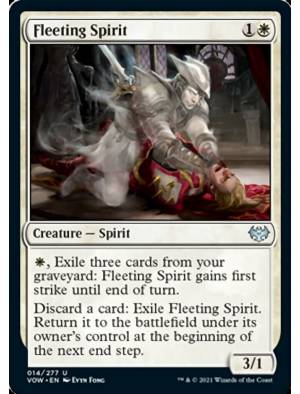Espírito Fugaz / Fleeting Spirit
