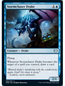 Dragonete Caçador de Tempestades / Stormchaser Drake