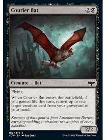 Morcego-correio / Courier Bat