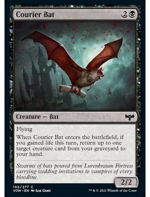Morcego-correio / Courier Bat