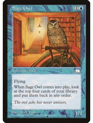 Sage Owl / Coruja Sábia