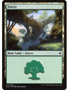 (Foil) Floresta / Forest