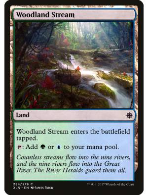 Riacho da Floresta / Woodland Stream