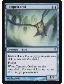 Coruja da Tempestade / Tempest Owl