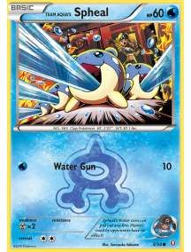 Team Aqua's Spheal 3/34