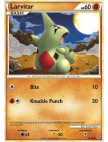 Larvitar 51/95
